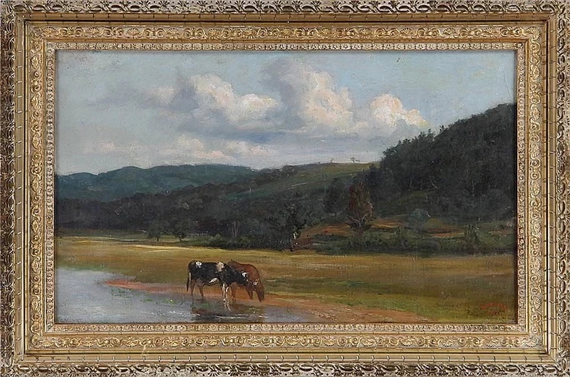 Mucche vicino al ruscello